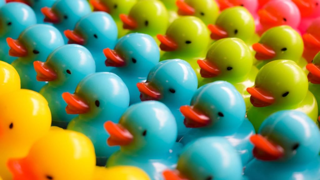 Ducks In a Row